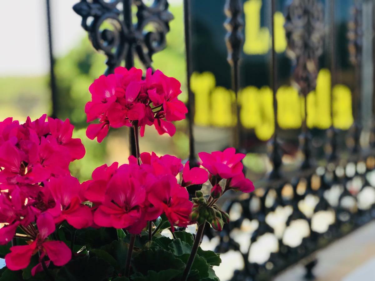 Hostal La Tarayuela بارباتي المظهر الخارجي الصورة
